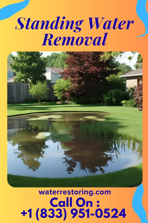 Standing Water Removal in Fowler, IN